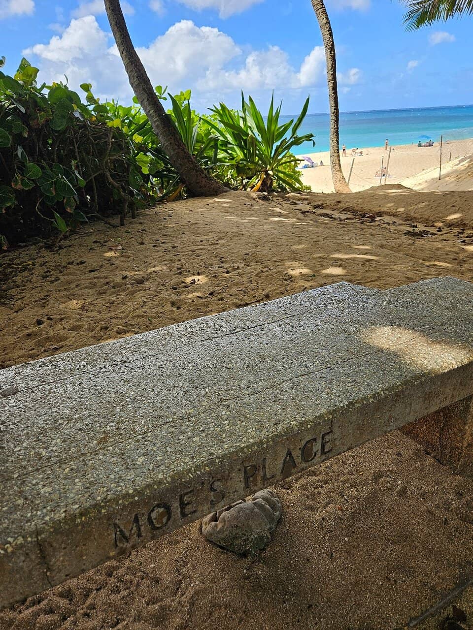 Watch Professional Surfers in Action