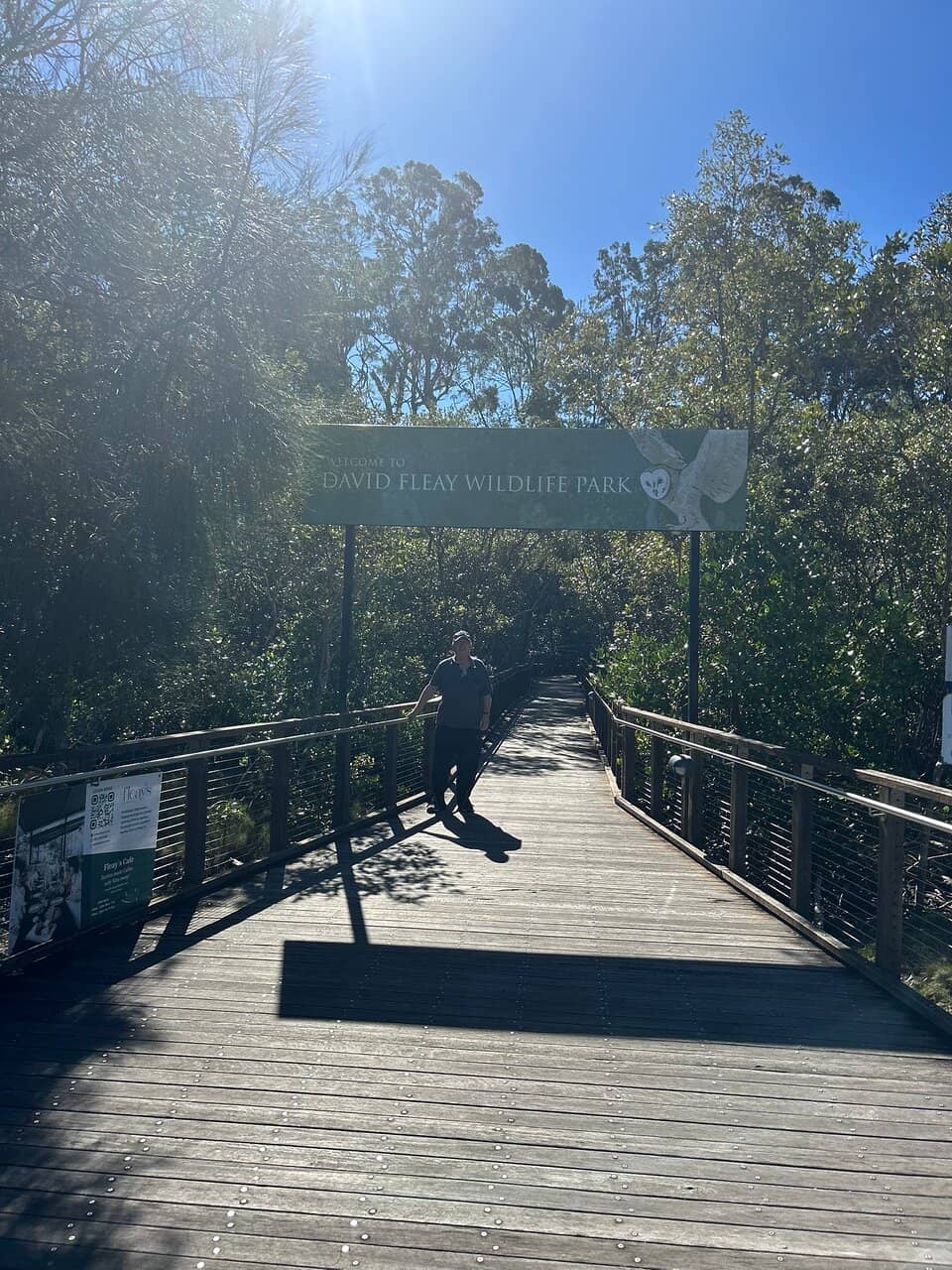 Informative Bird Shows