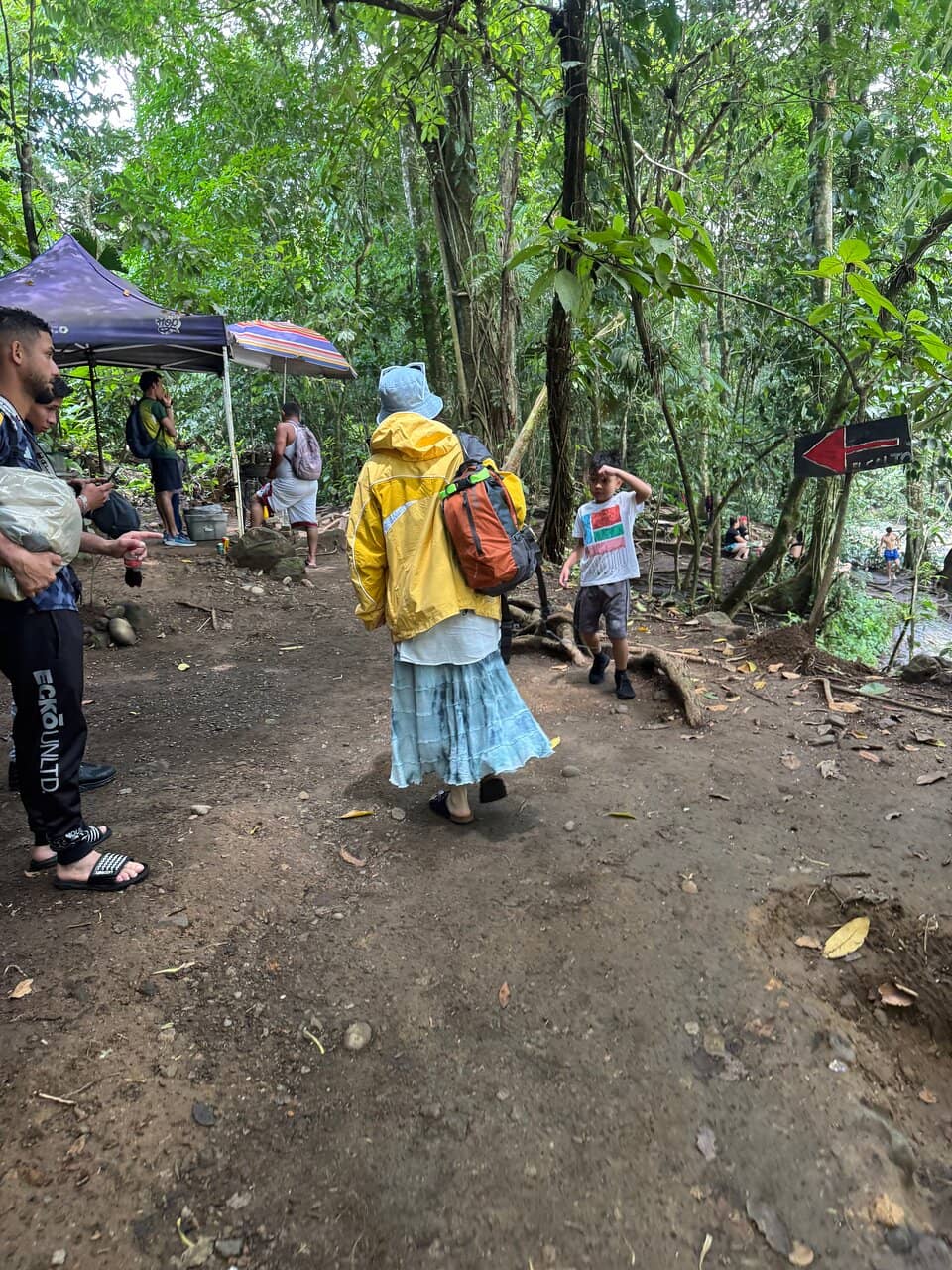 The Thrilling Rope Swing