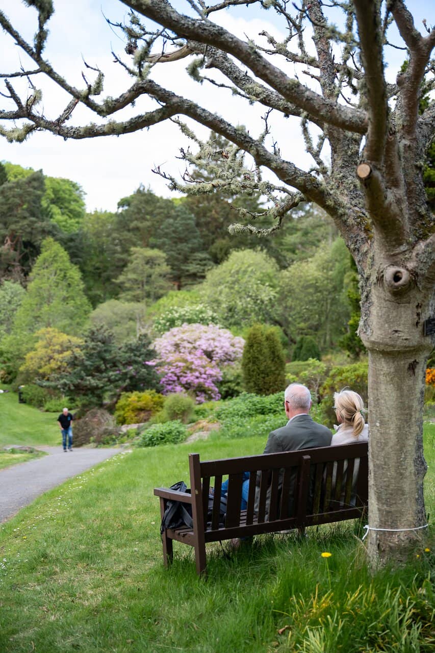 Tranquil Ponds and Water Features