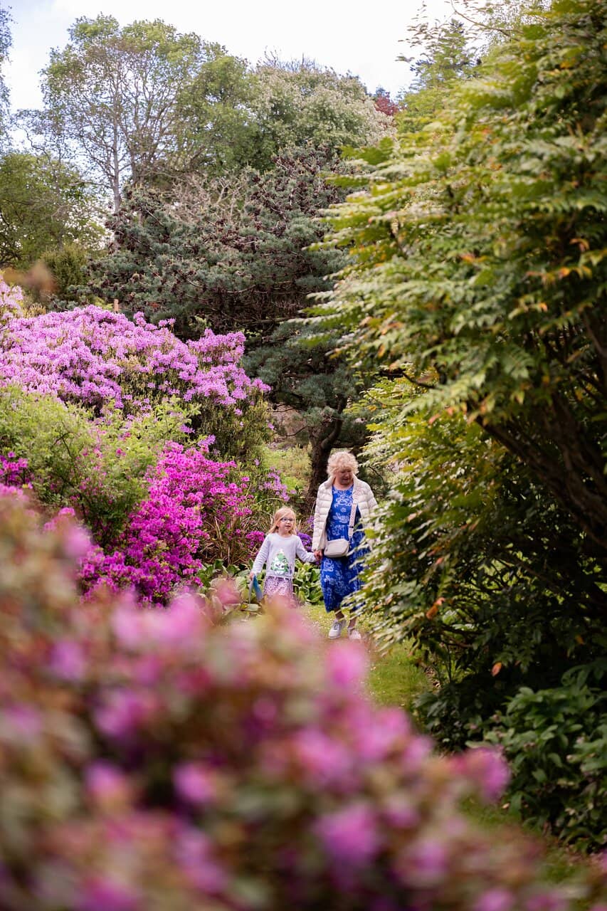 The Enchanting Scree Garden