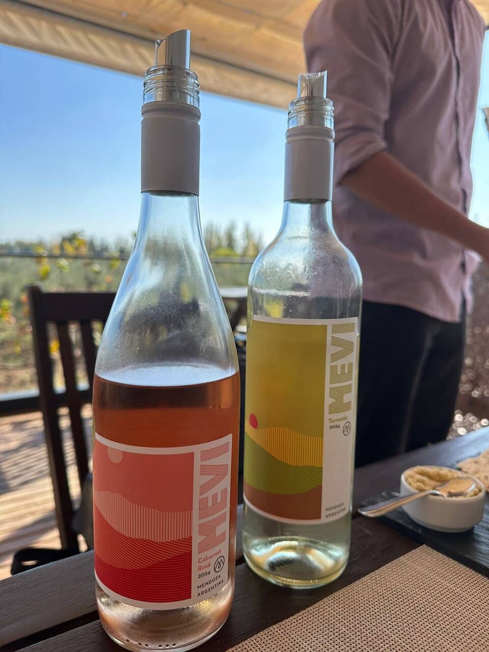 Vineyard and Mountain Views