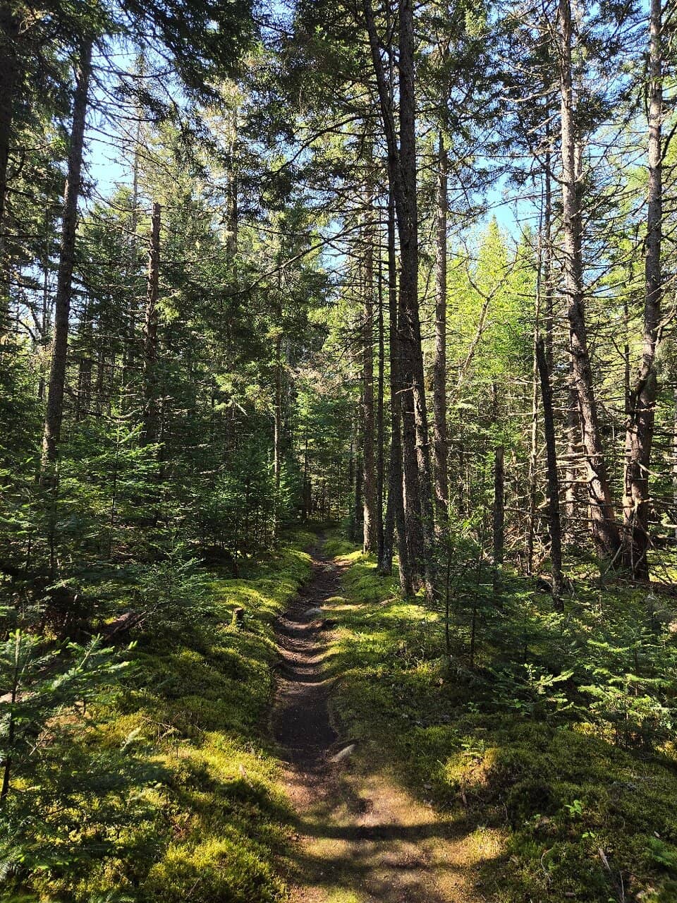 Scenic Hiking Trails