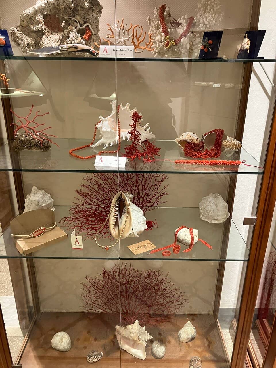 Coral History & Science