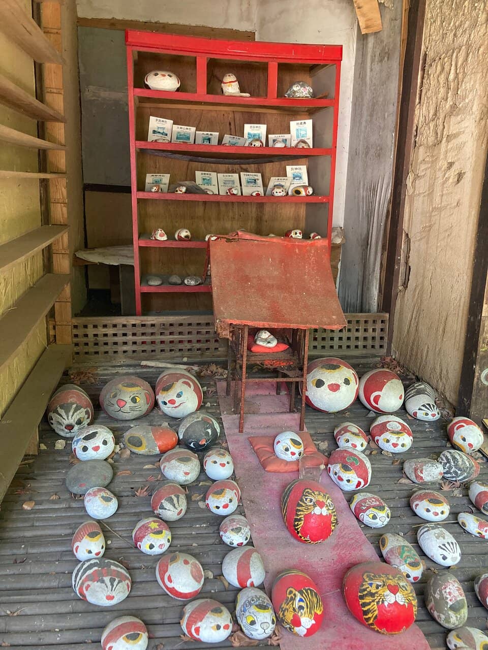 Potential Stray Cat Sightings