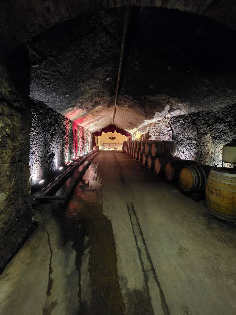 Bubble Lounge Experience