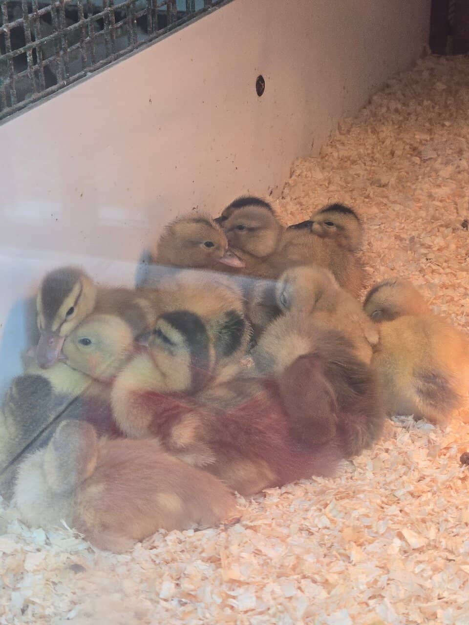 Expansive Sand Dunes