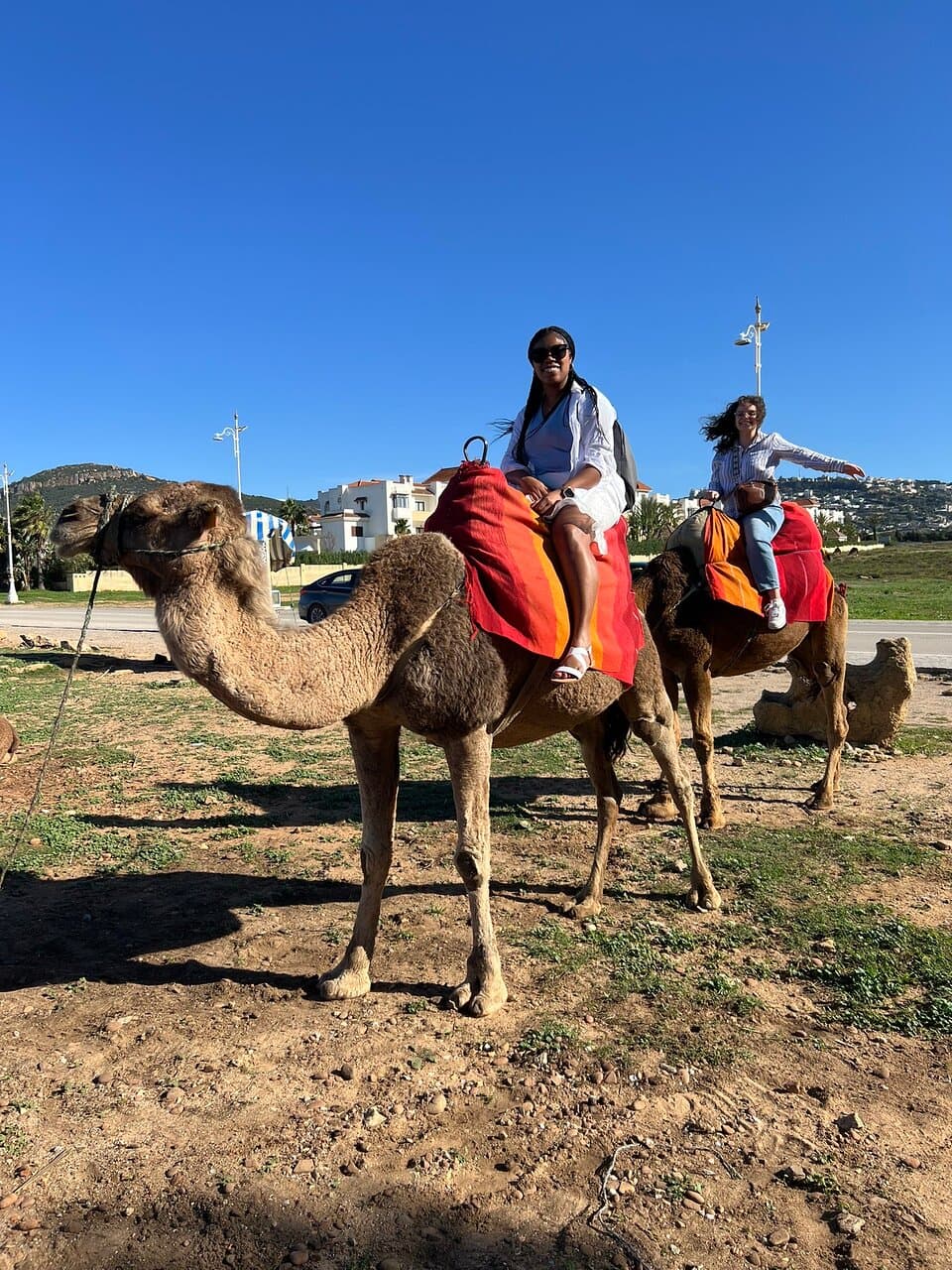 Kamel ride with American group from different states of US