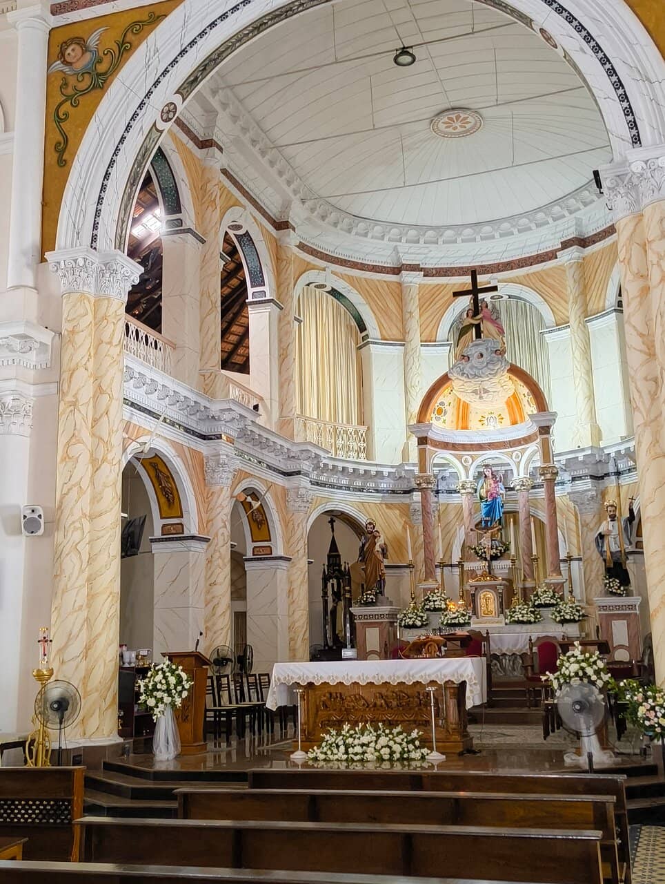 Relic of St. Anthony's Tongue