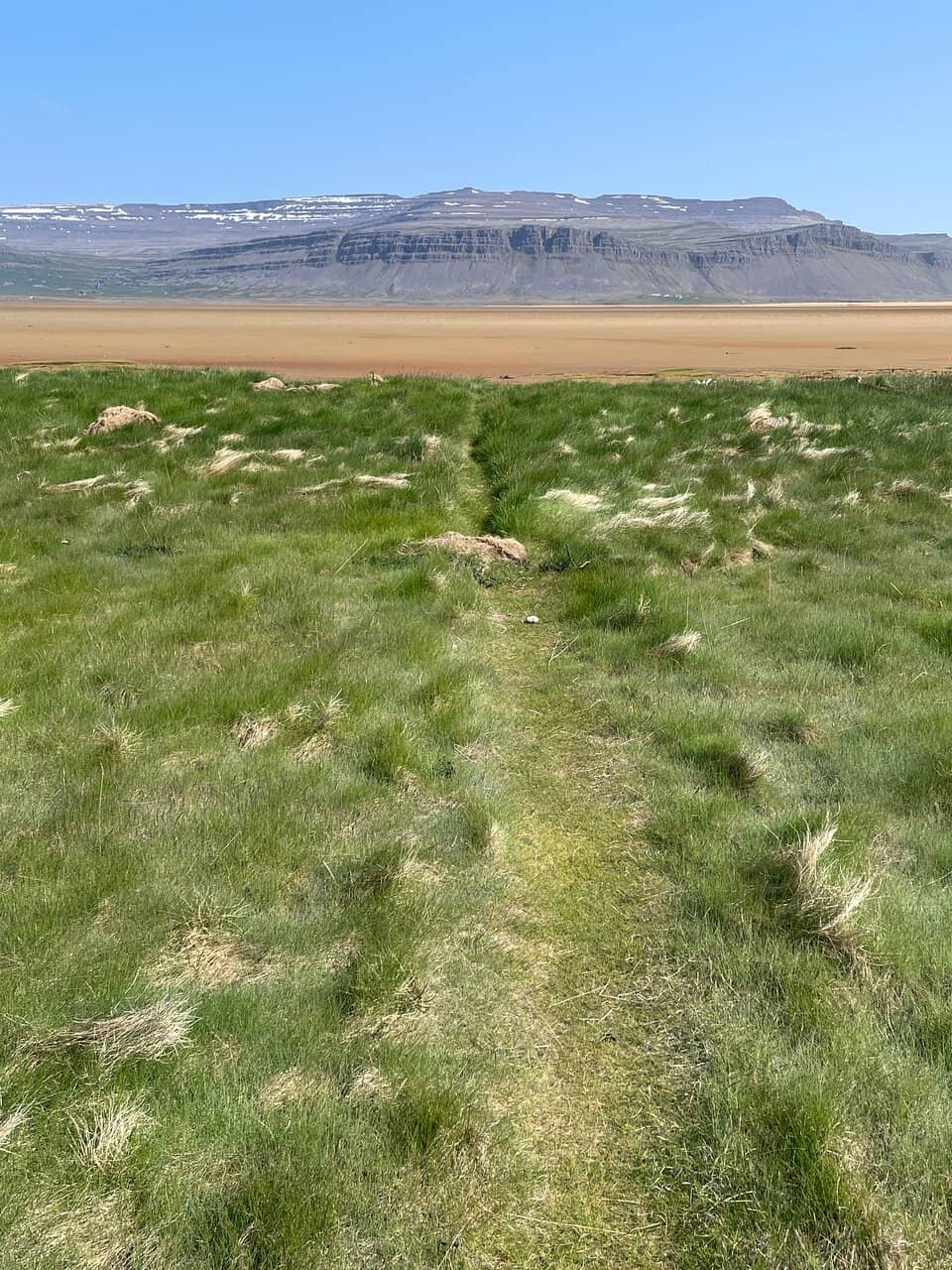 Icelandic Lifting Stones