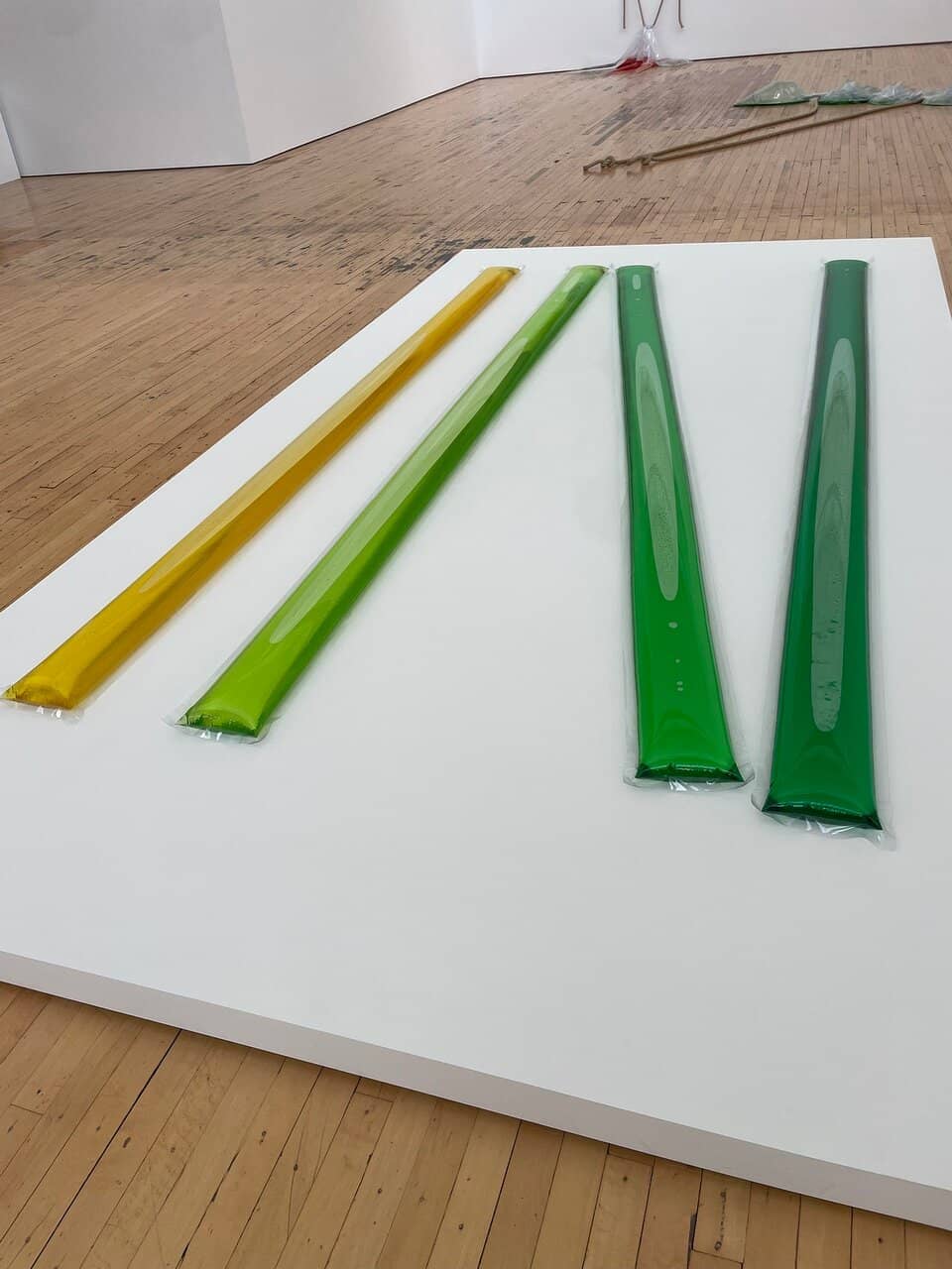 Andy Warhol's Shadows