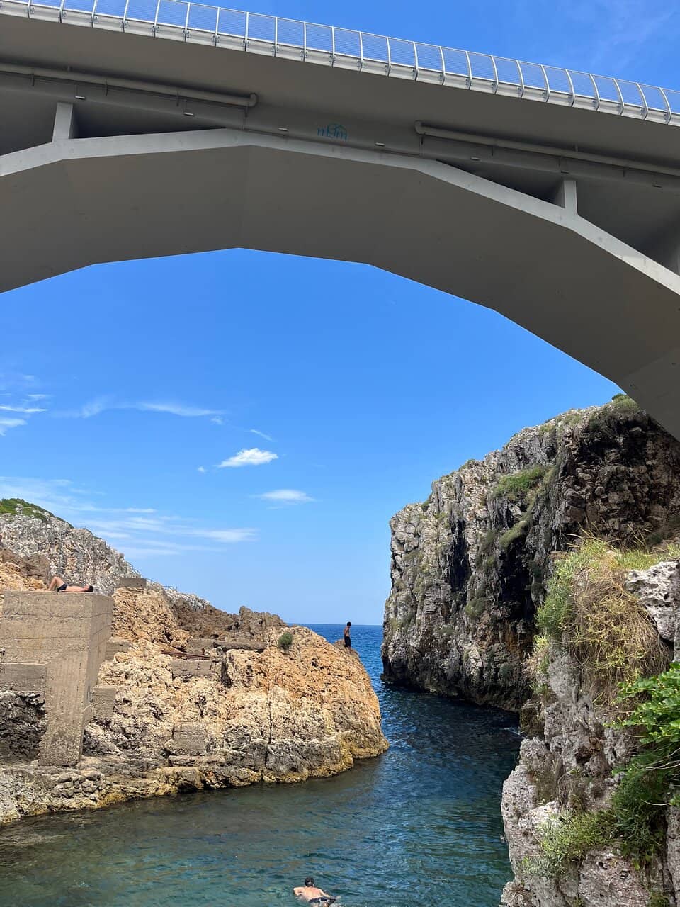 Cliff Diving and Swimming