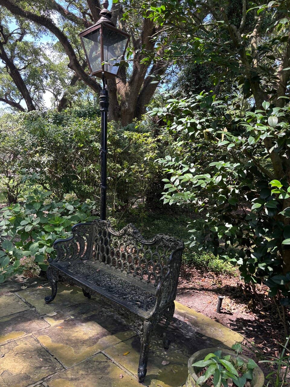 Beautiful Grounds