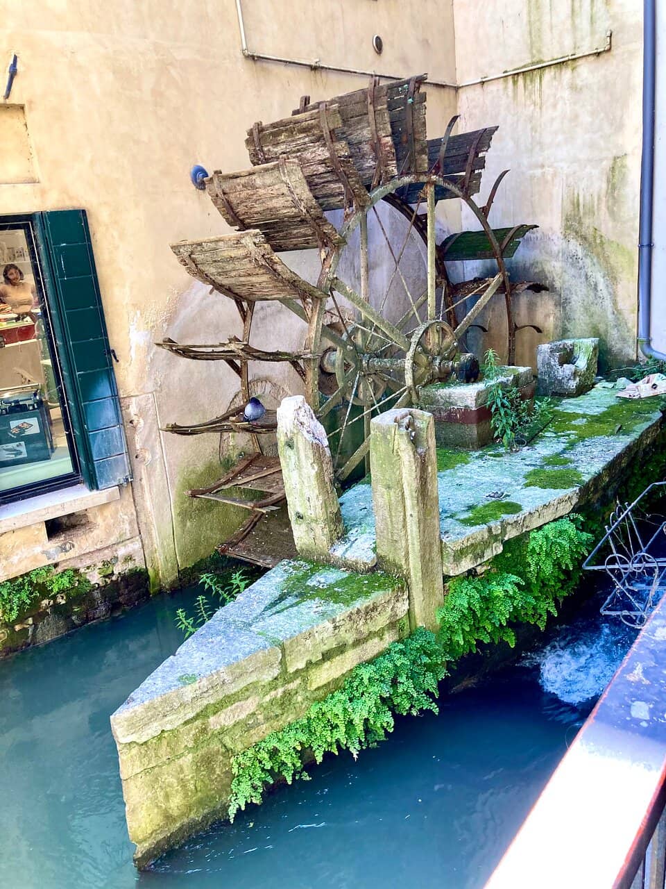 The Lively Fish Market