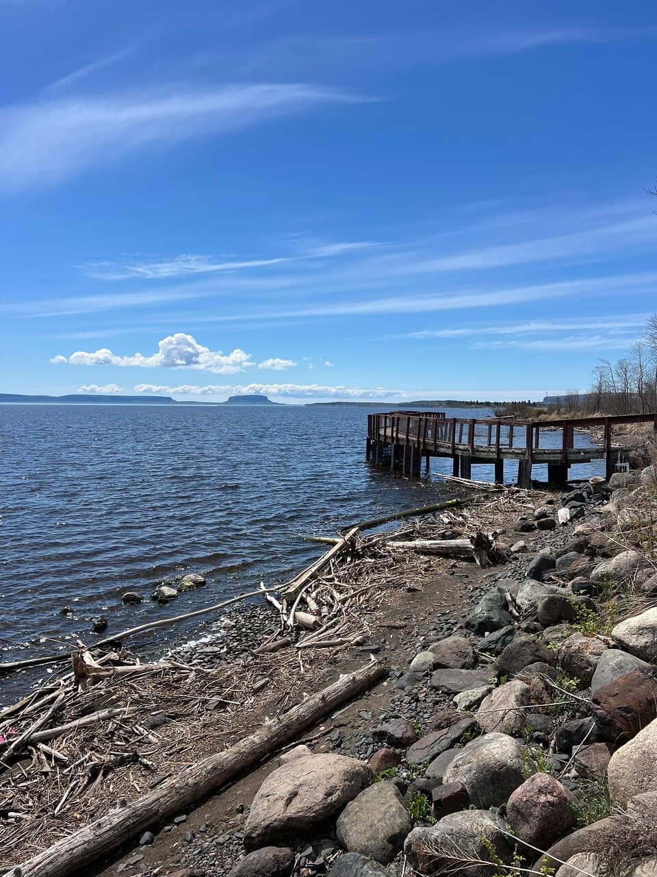 Birdwatching Opportunities