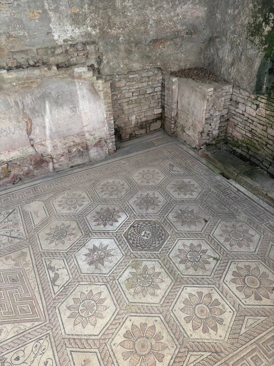 Remarkable Preservation