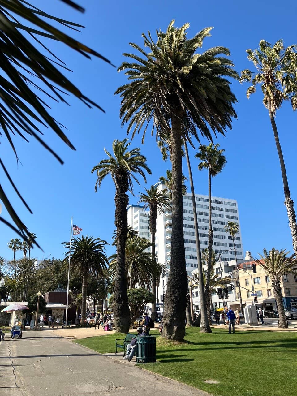 Native Plant Gardens