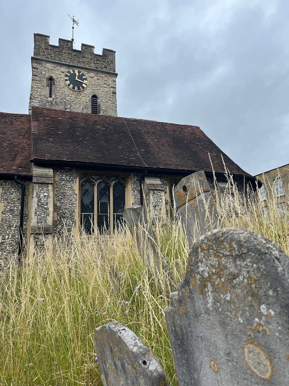 Panoramic Surrey Hills Views