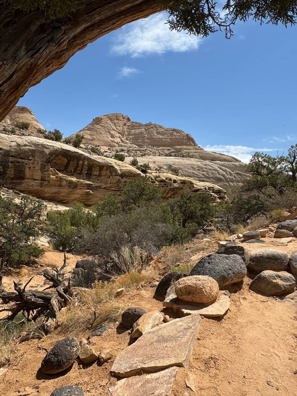 Scenic Desert Landscape