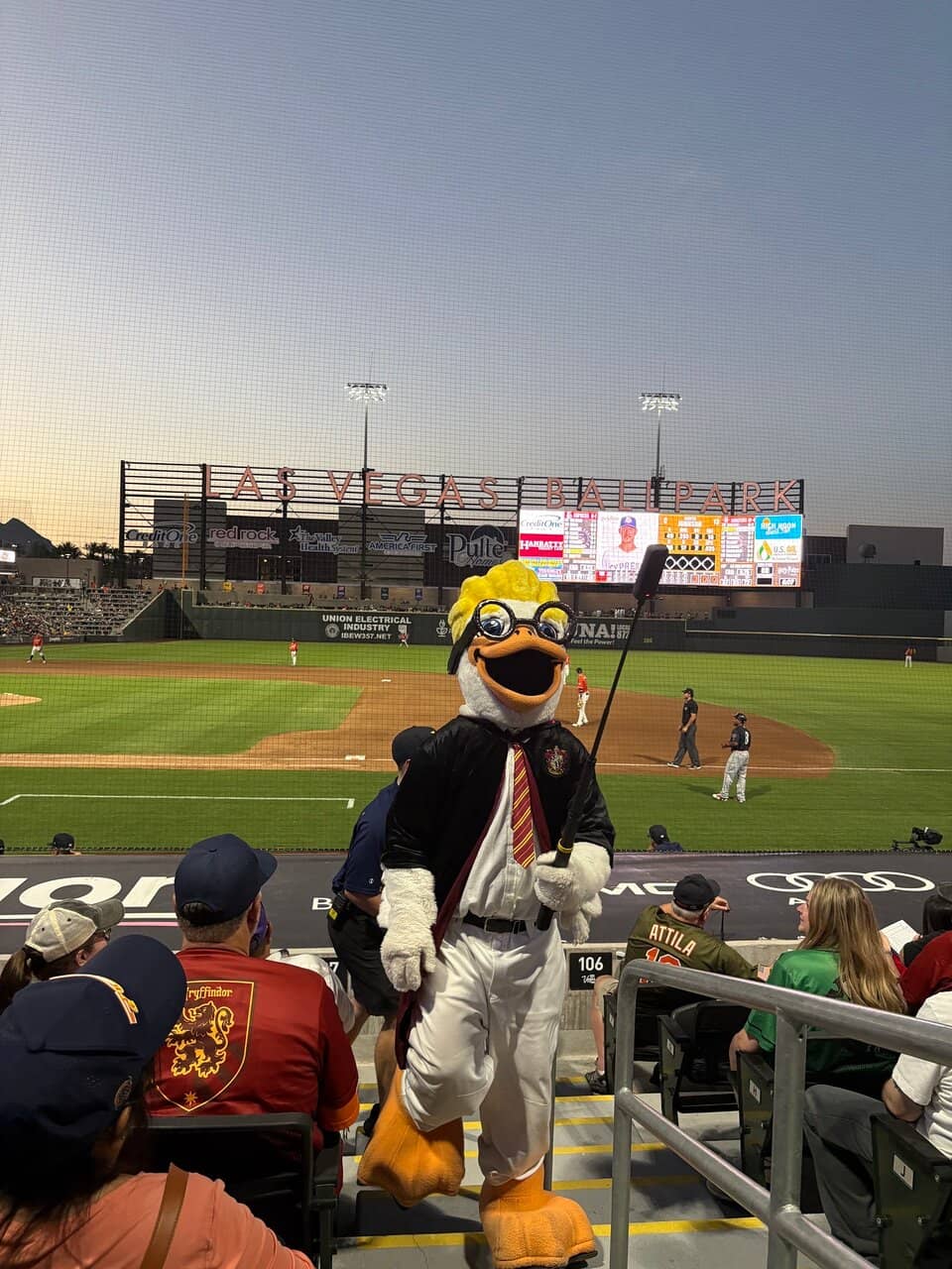 Ice Slides & Skating