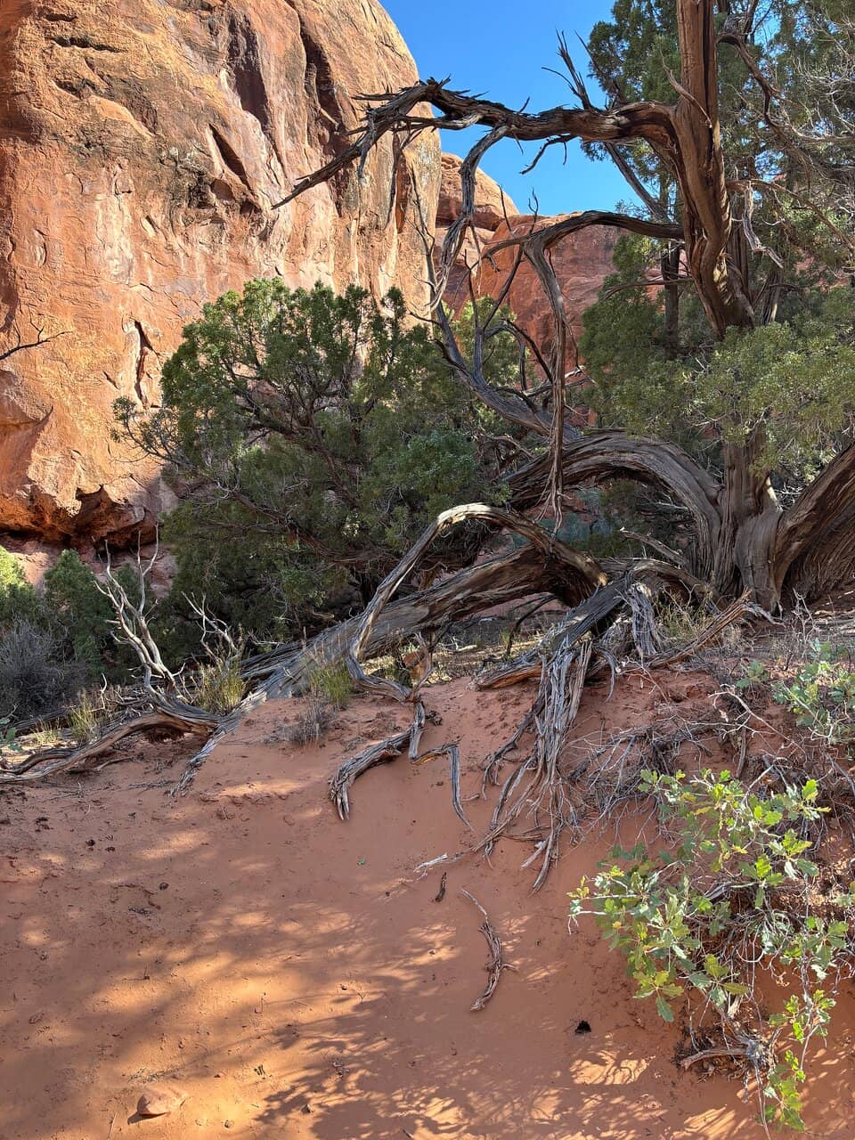 Hidden Arches