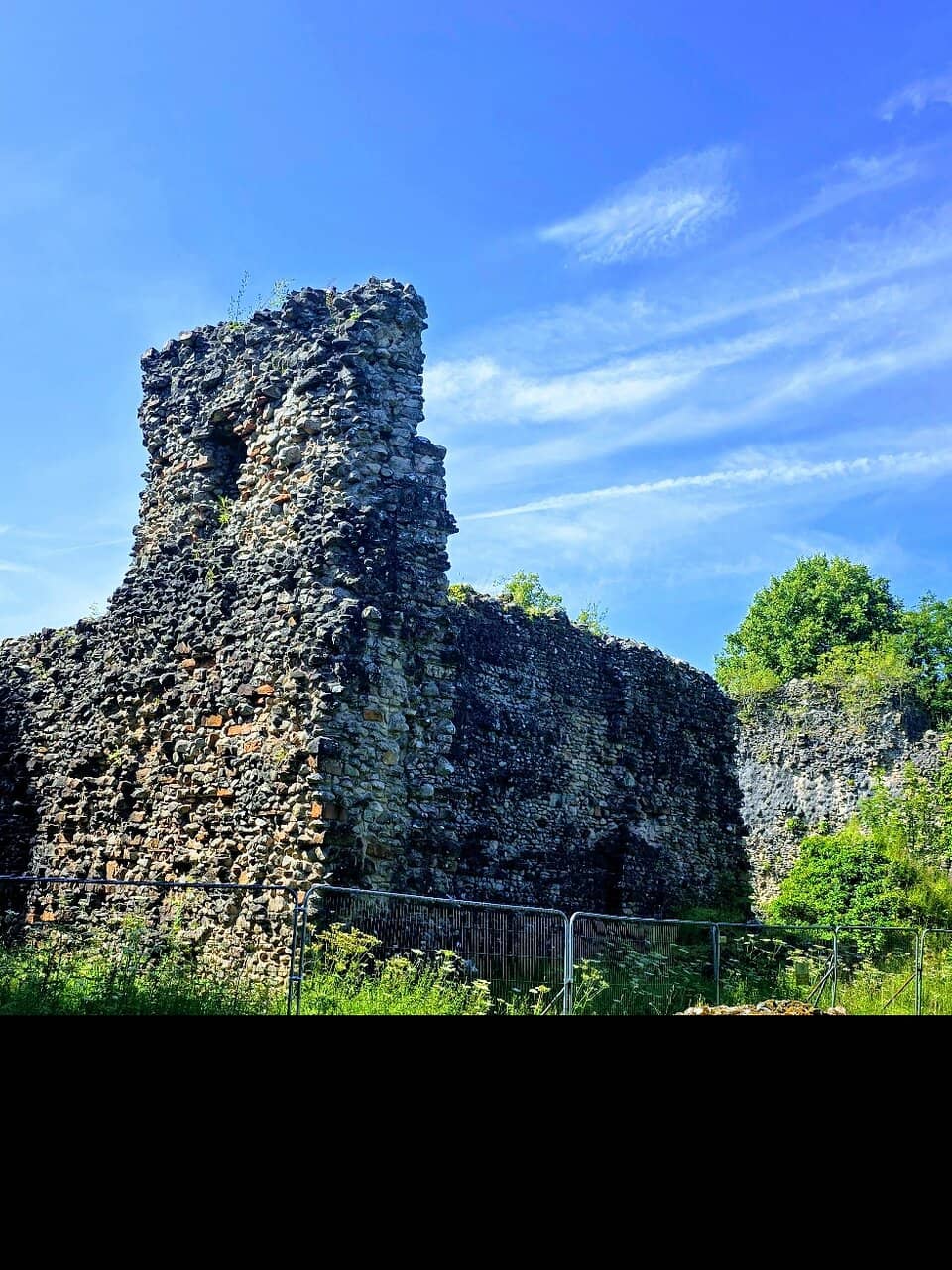 Robert the Bruce Connection