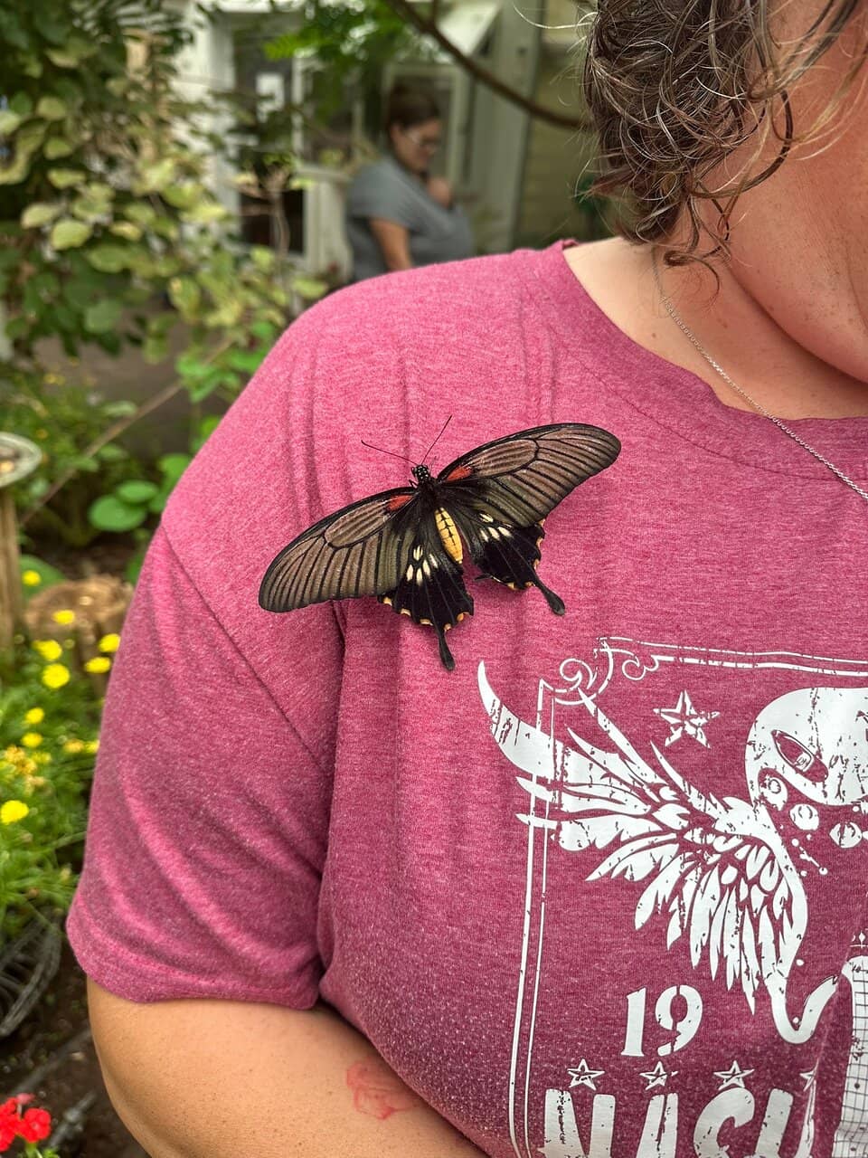 The Butterfly Haven