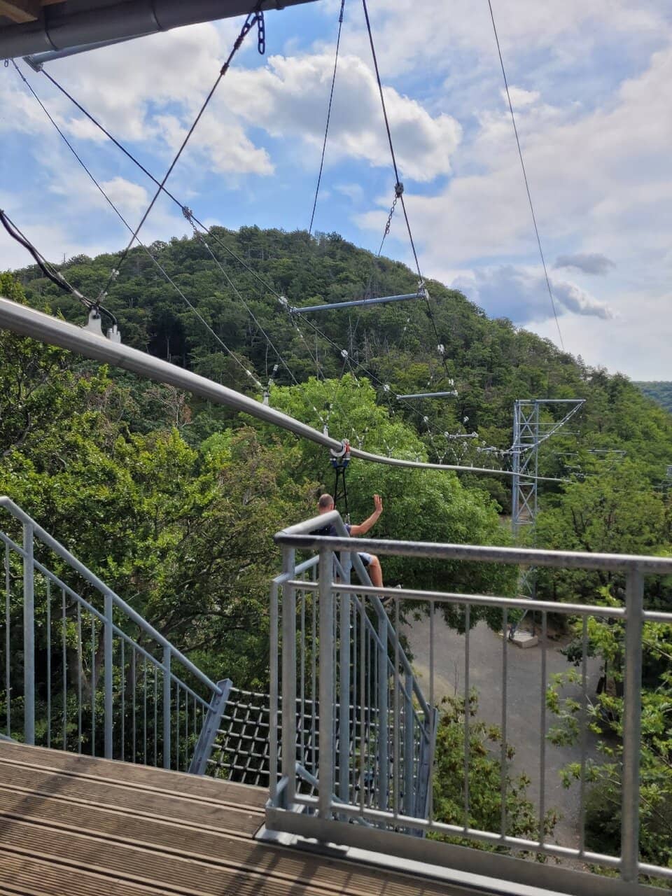 Panoramic Forest Views