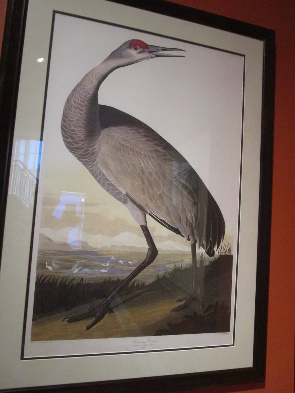 Art of the Dog Collar