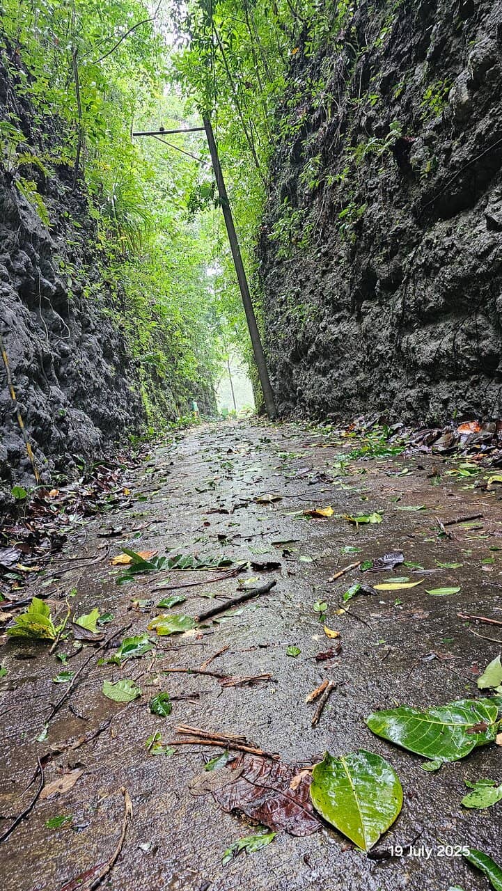 Vertical photo