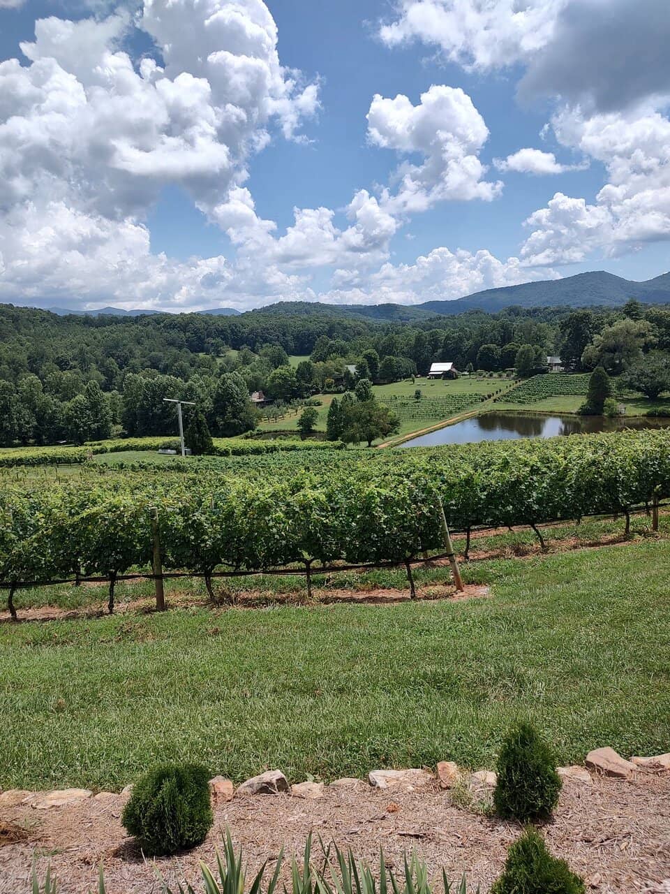 Paris & Company Restaurant