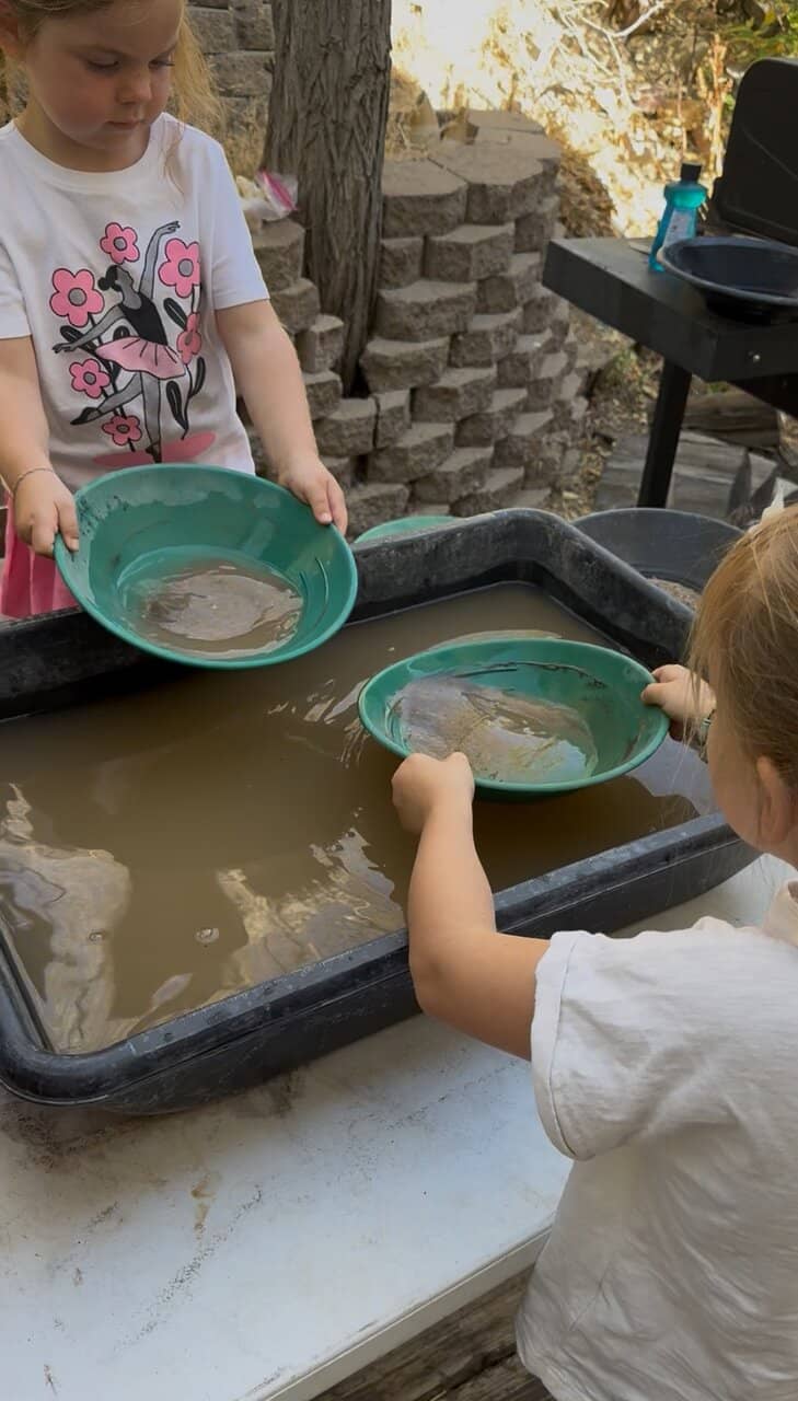 Comstock Lode History