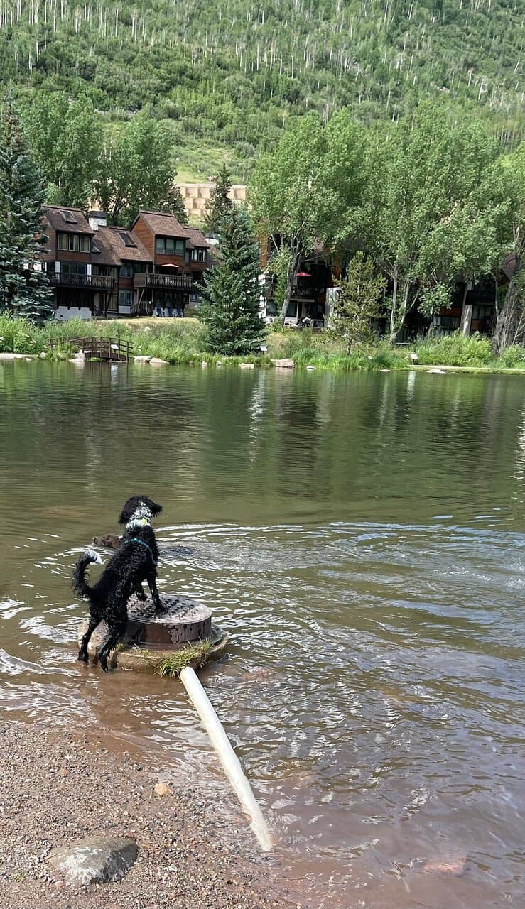 Bighorn Park East Vail