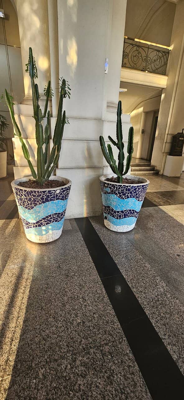 Cultural Hub in Downtown