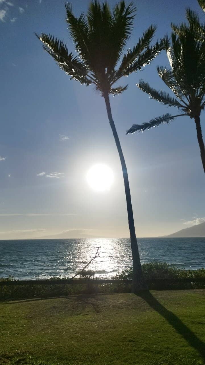 Spectacular Sunsets