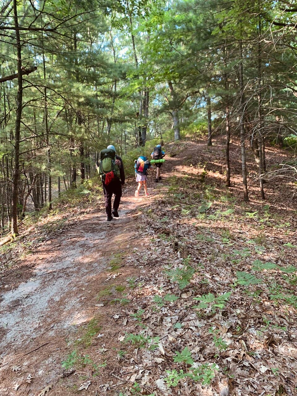 Lake Michigan Sunsets