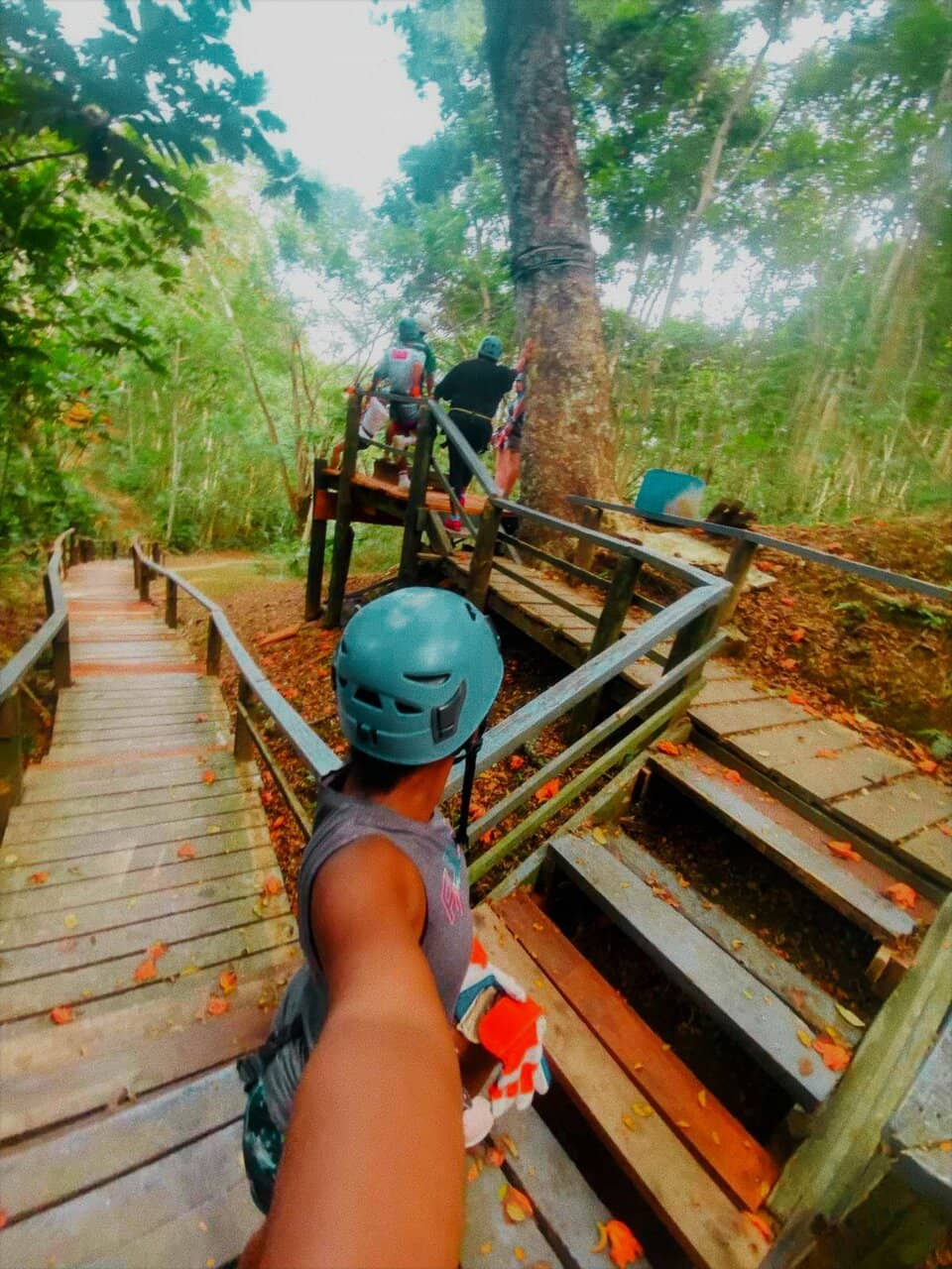 Orchid Falls & Jungle Hike