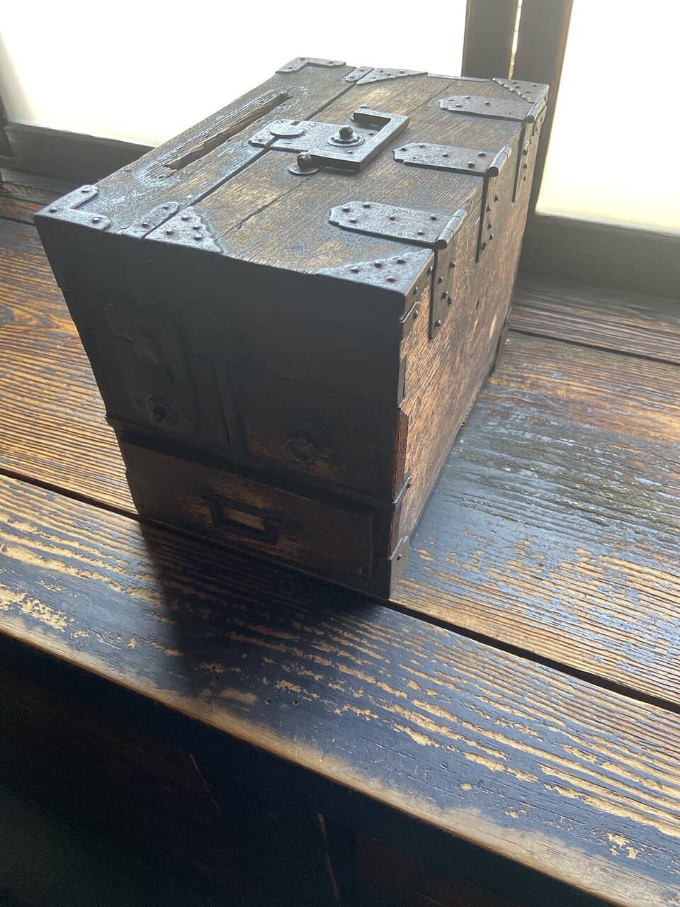 The Friendly Resident Cat