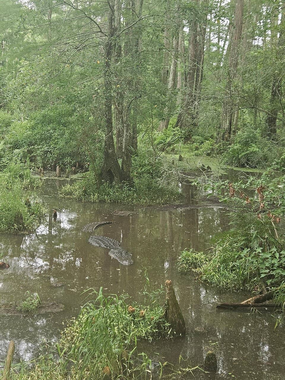 Interactive Encounters