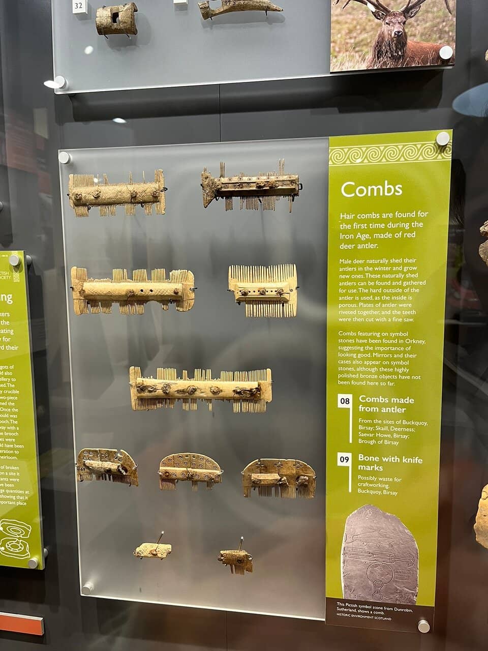 Tranquil Rear Garden