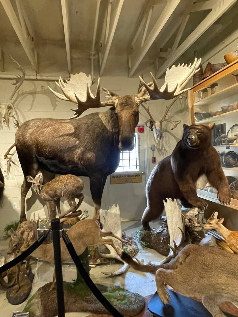 Salish Masks & Indigenous Art