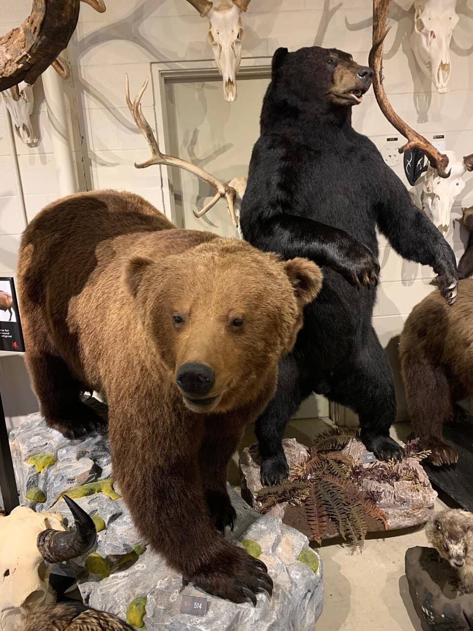 Interactive iPad Tour