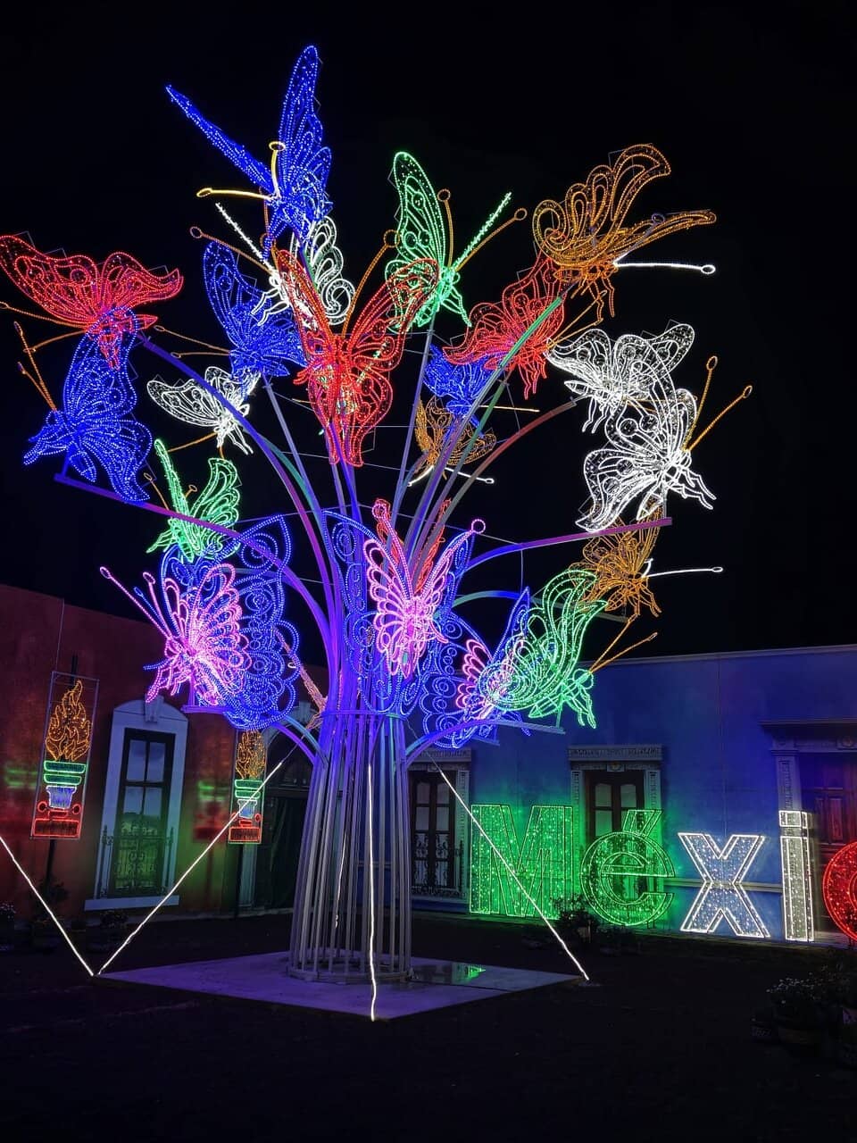 Fish Pond Observation