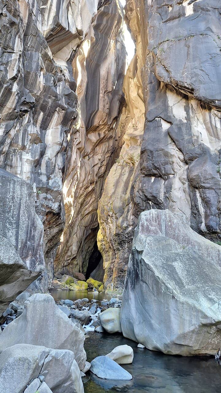 All-You-Can-Eat Buffet