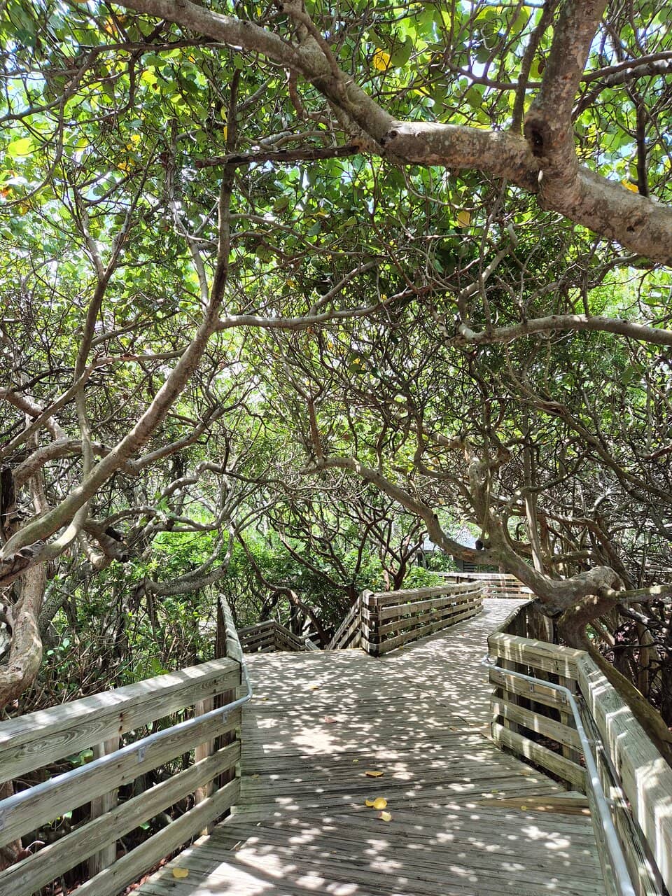 Nature Center