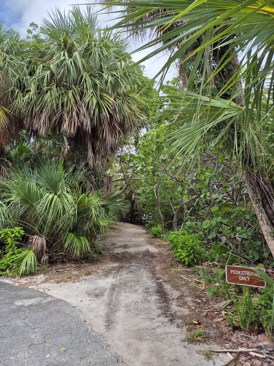Boardwalk Estuary Trail