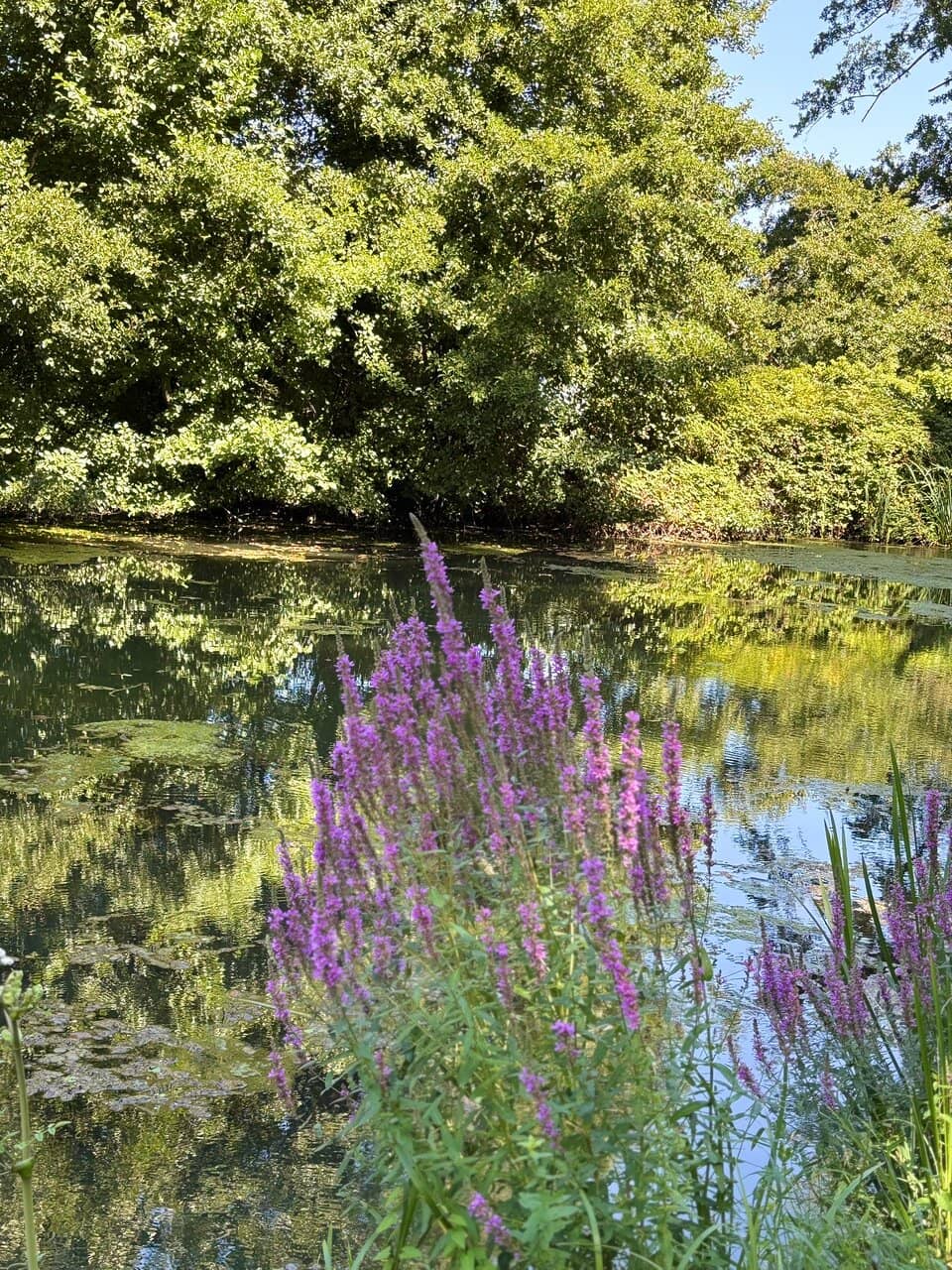 Eiffel Company's Legacy