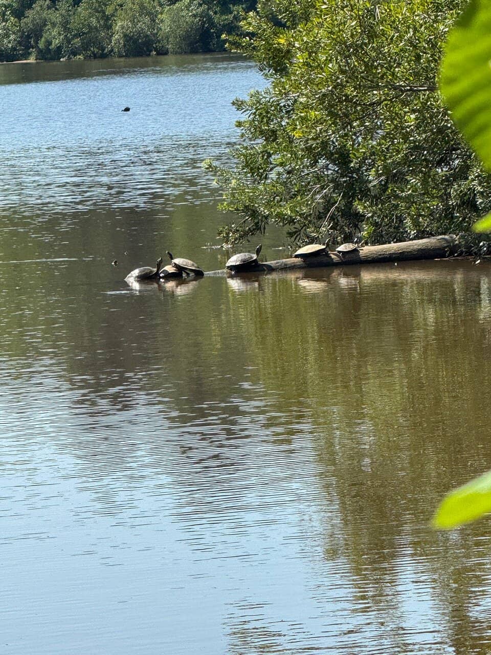 Scenic Lake Loop Trail