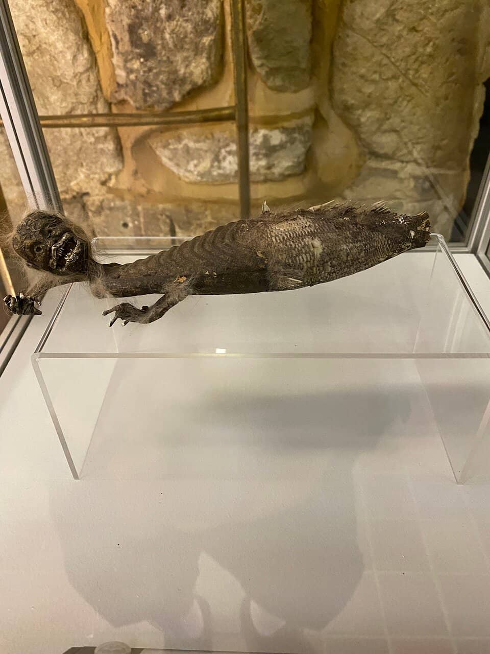 Local Shipwreck Stories