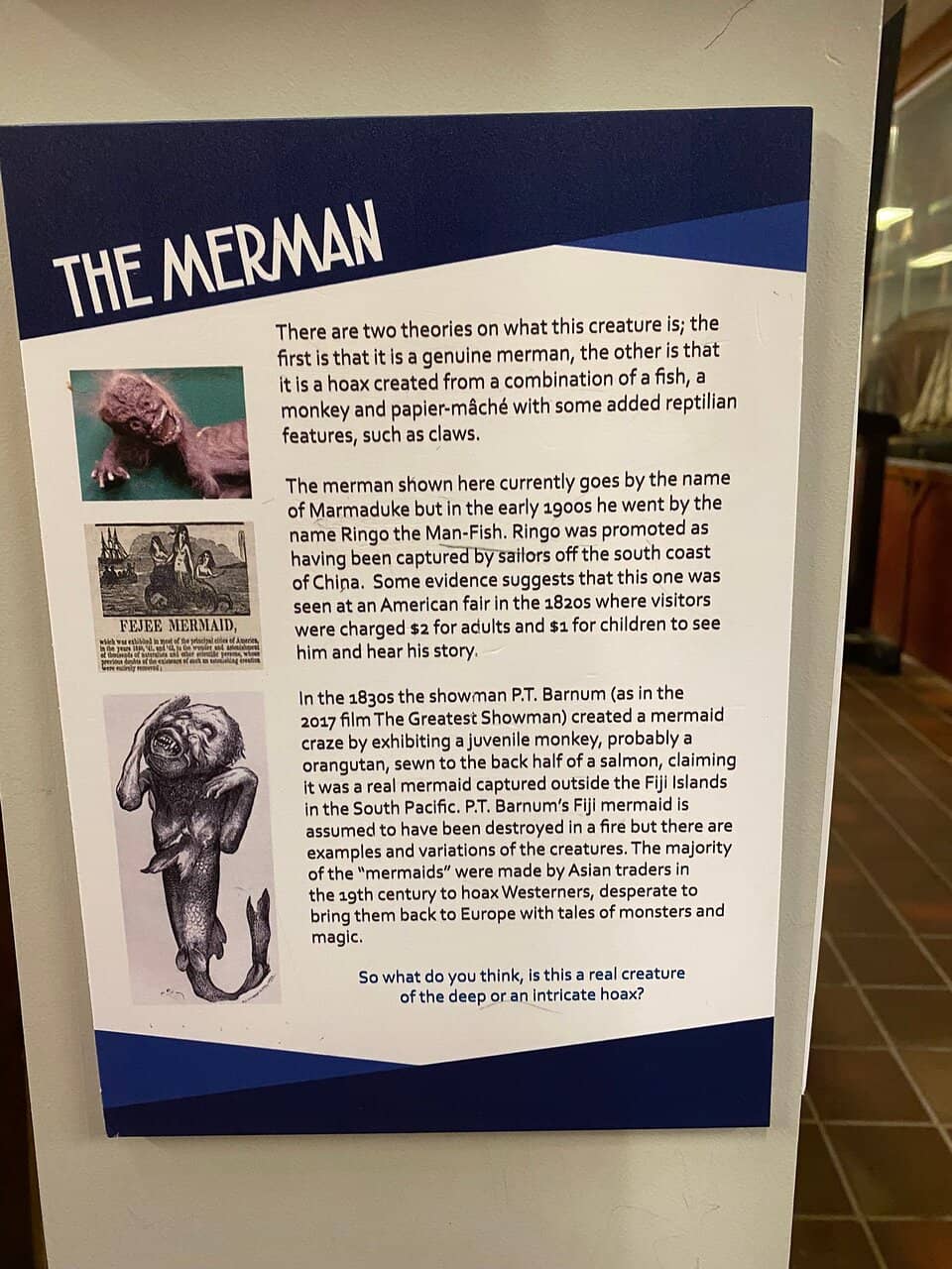 Interactive Features